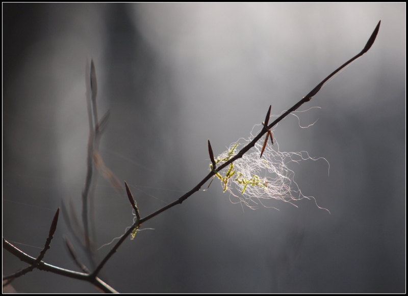 ...spring is in the air ...