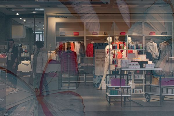 Spring is in the air