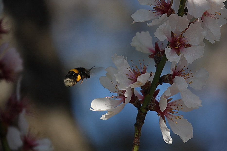 Spring is in the Air!