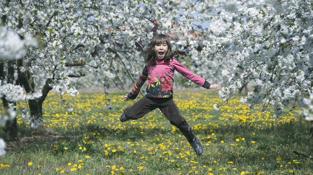 Spring jump de anvalog 