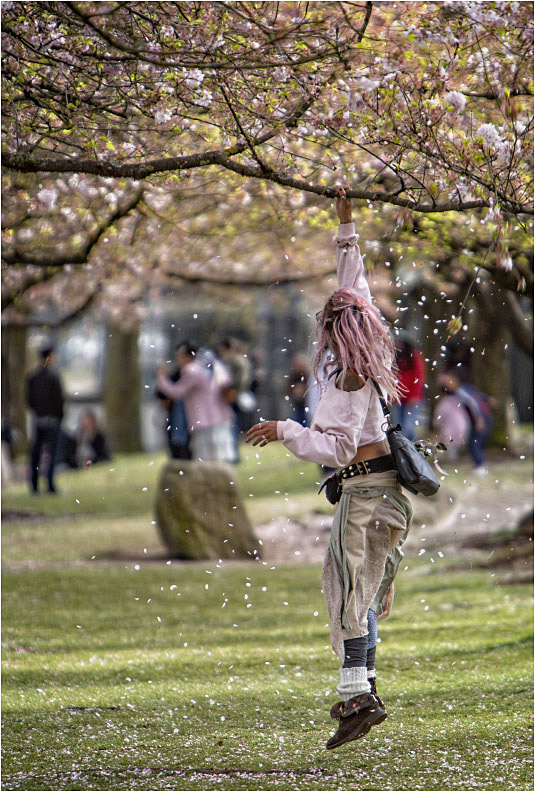 Spring Jump 