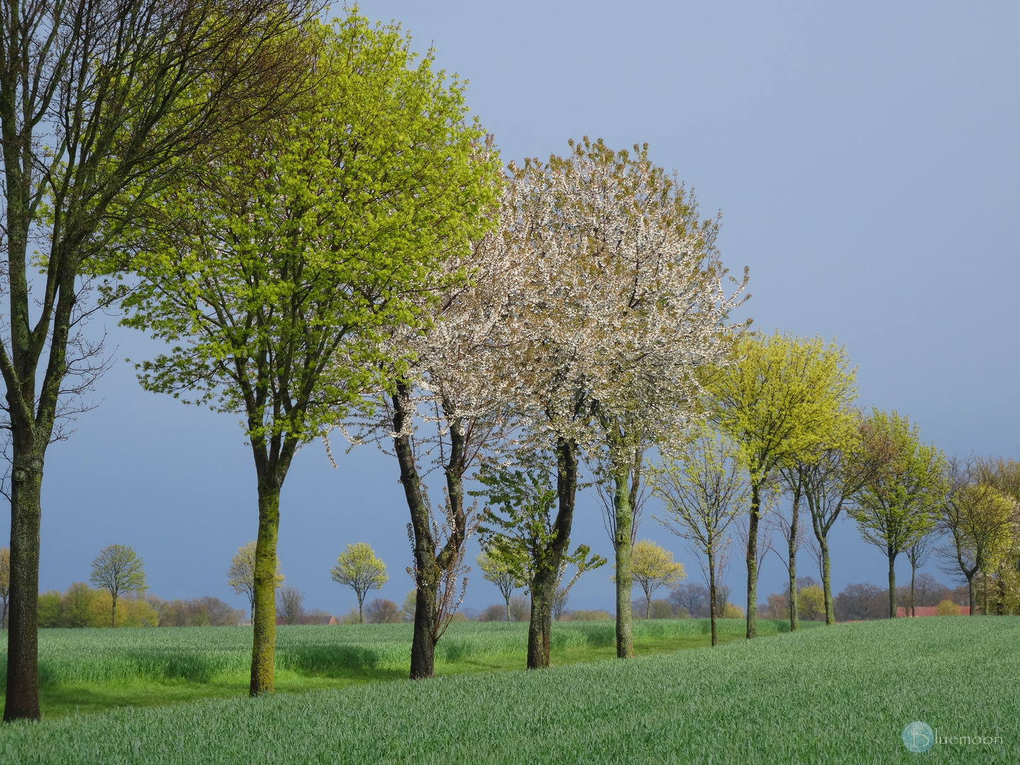 spring light