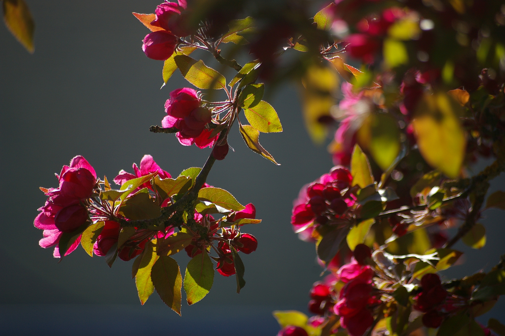 Spring light....