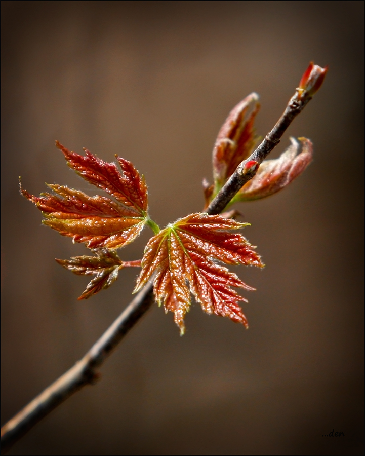 Spring, love this time of year.....