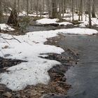 Spring Melt. Gatineau Park, Quebec, Canada.