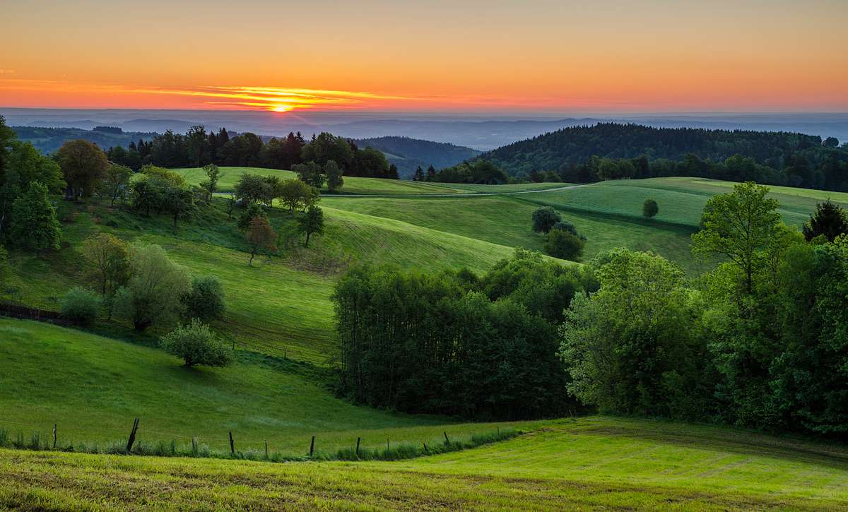 Spring morning