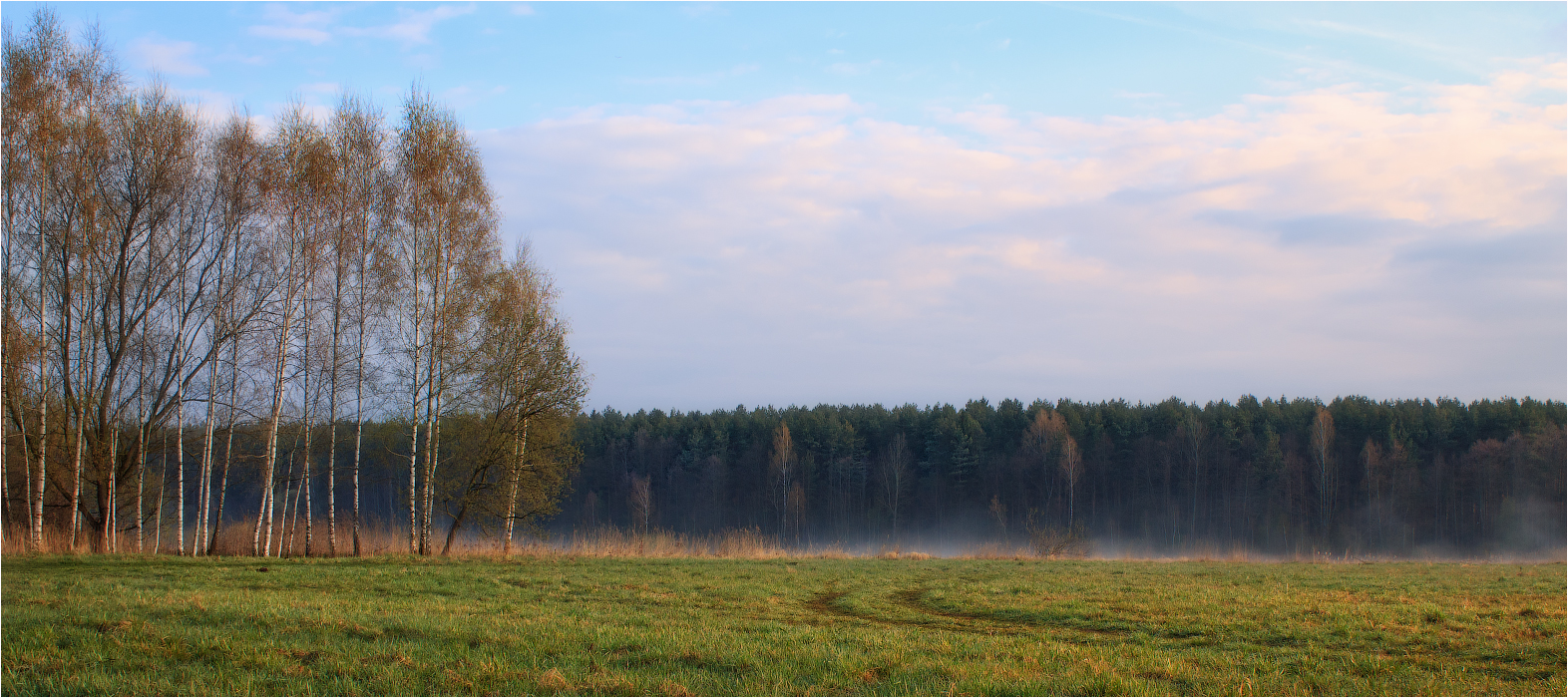 Spring morning