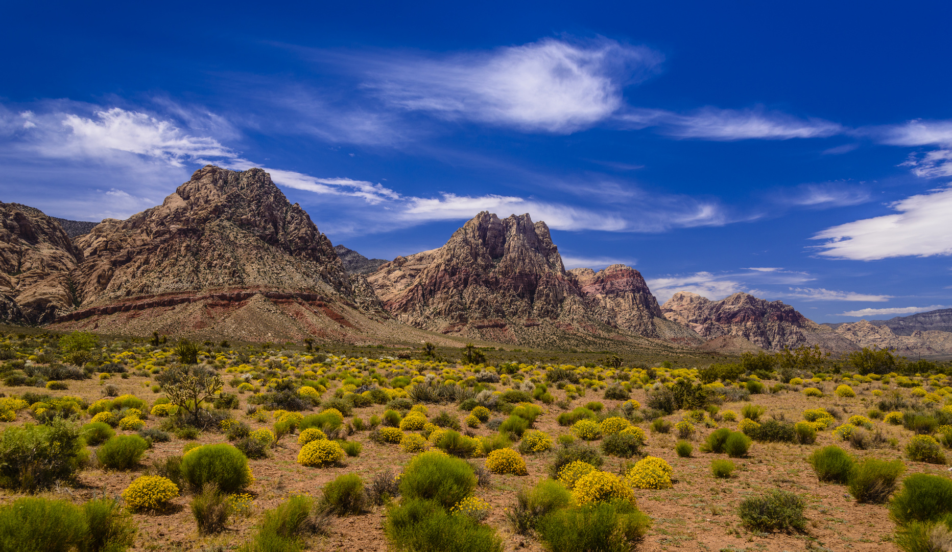Spring Mountains, Red Rock Canyon, Nevada, USA Foto & Bild natur