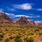 Spring Mountains, Red Rock Canyon, Nevada, USA