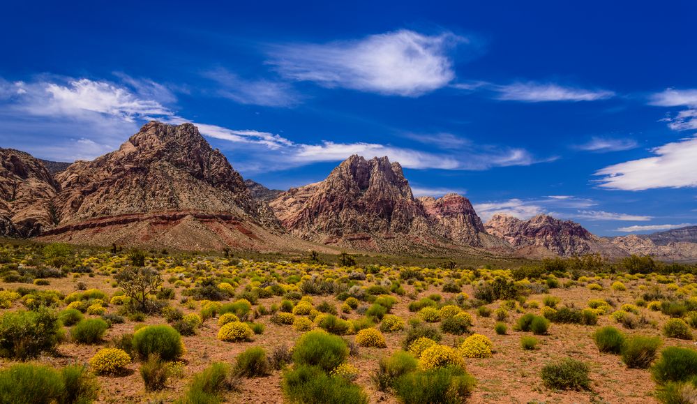 Spring Mountains, Red Rock Canyon, Nevada, USA