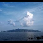 Spring on a solitary beach