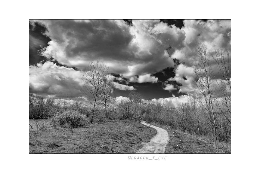 Spring Path 