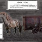 Spring Pit Pony