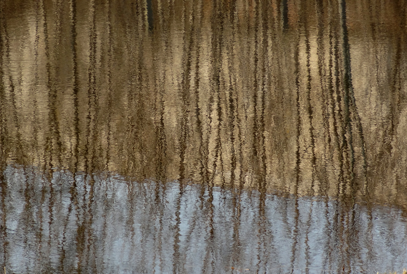 Spring reflections