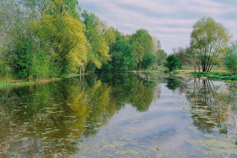 Spring reflections