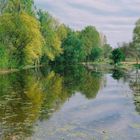 Spring reflections