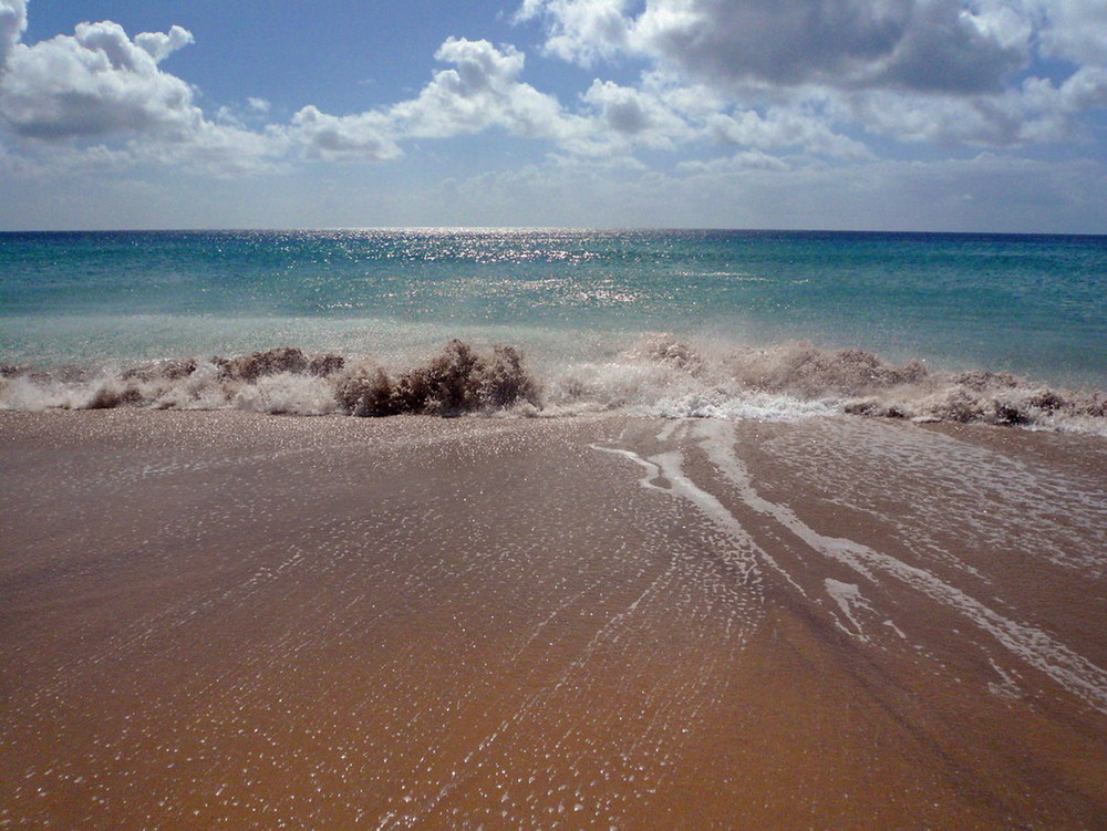 SPRING SEASCAPE