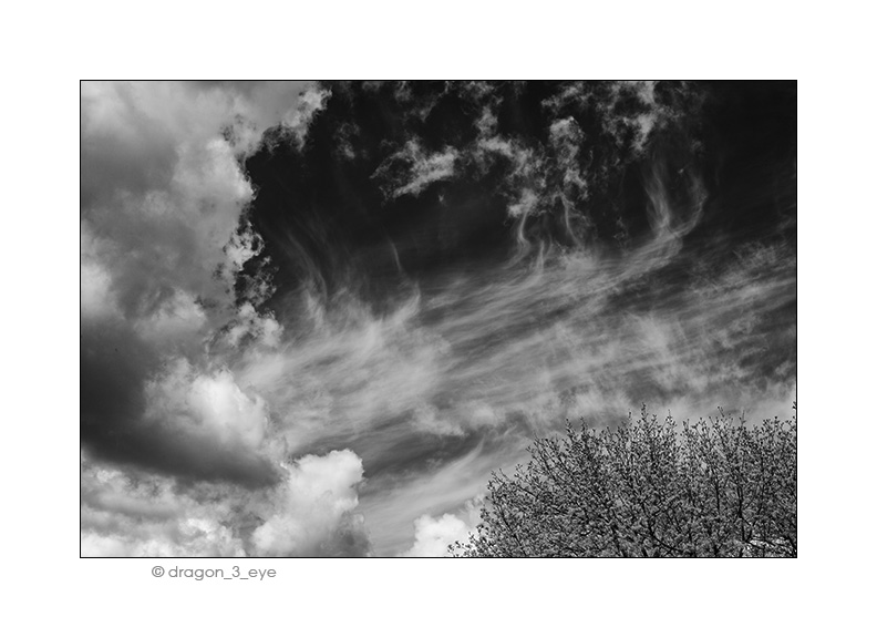 Spring Sky 2