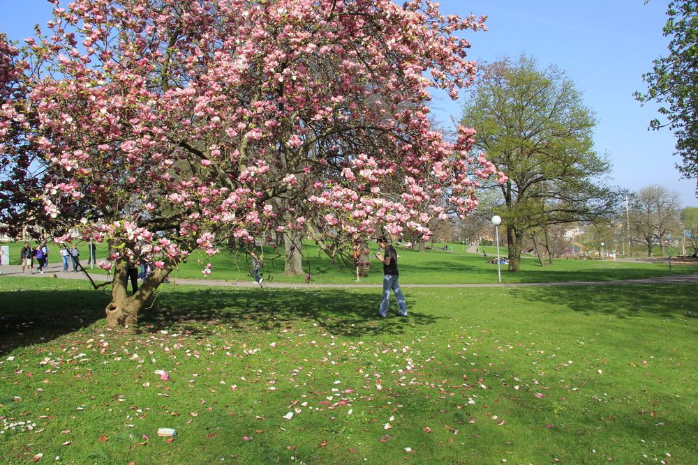 spring ~ so colorful