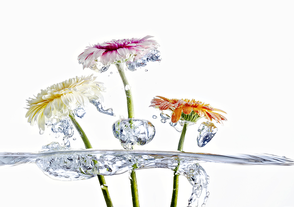 Spring Splash Foto & Bild stillleben, arrangierte szenen, frühling