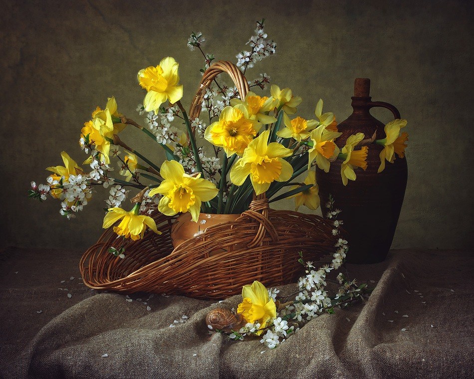 Spring still life with daffodils