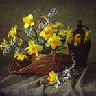 Spring still life with daffodils