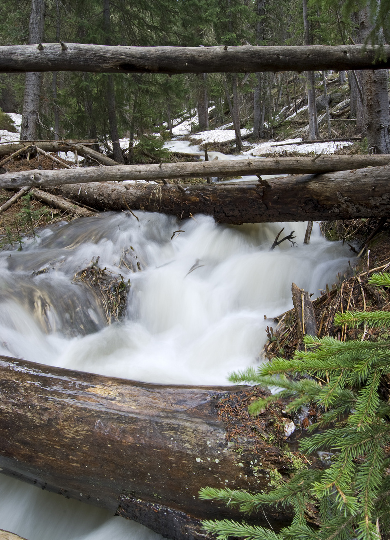 Spring Stream