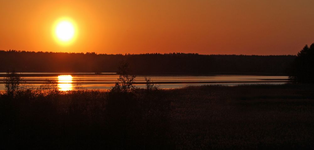 Spring sun is soo golden orandge