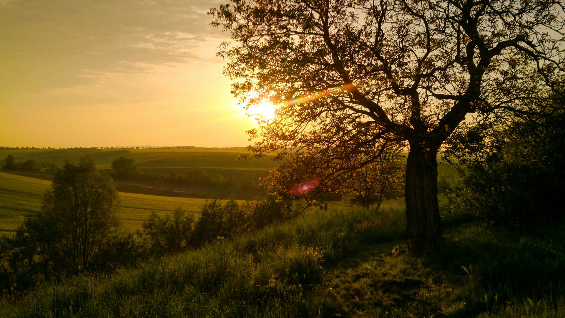 Spring Sunset