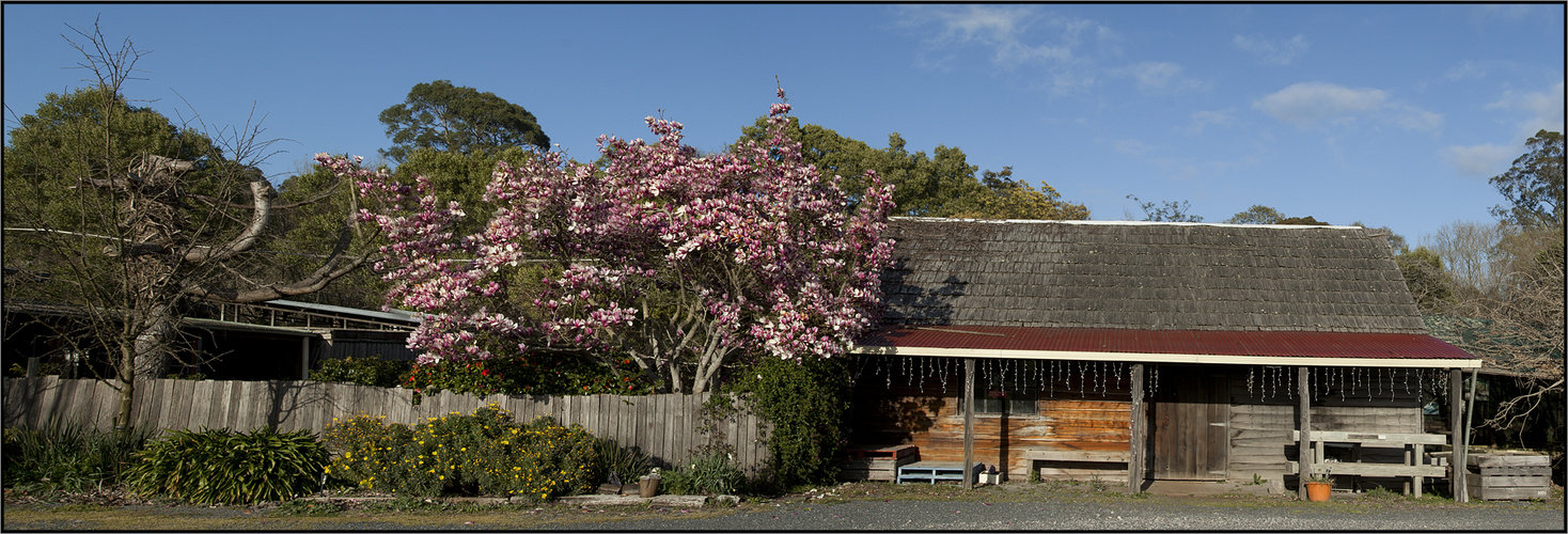 Spring-Tasmania