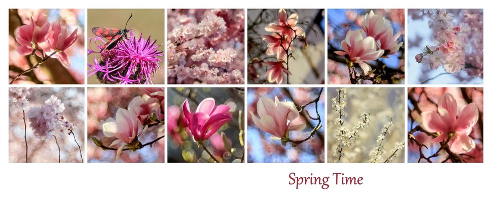 Spring Time