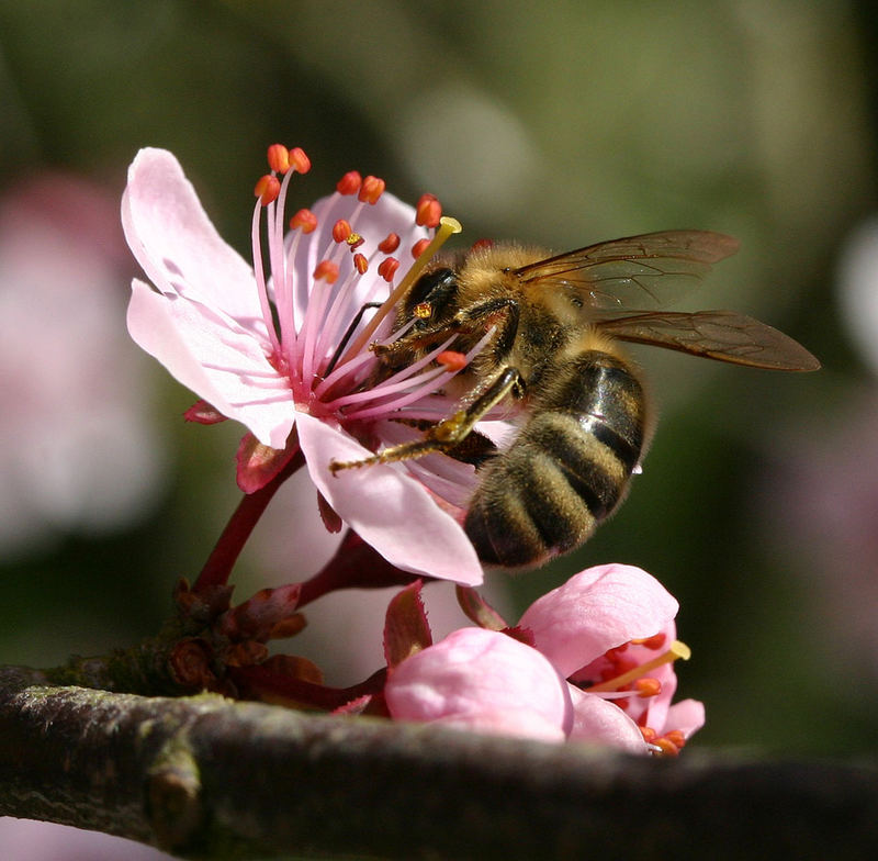 spring time - finally!!!