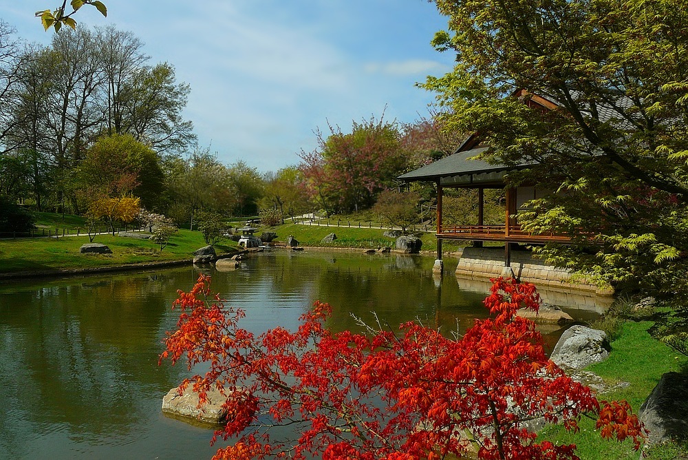 Spring visit to a Japanese garden (1)