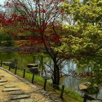 Spring visit to a Japanese garden (5)