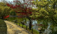 Spring visit to a Japanese garden (5)
