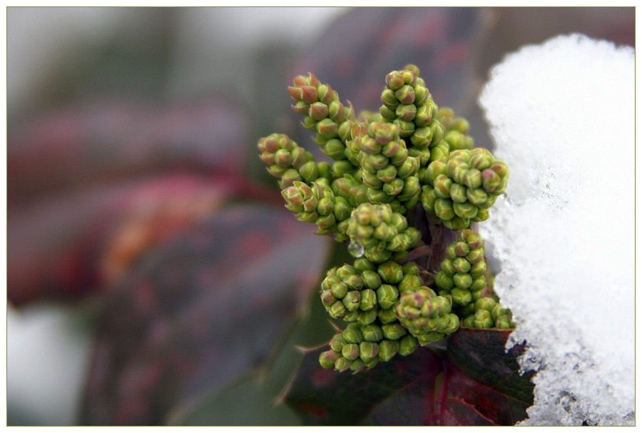 [spring vs. winter]