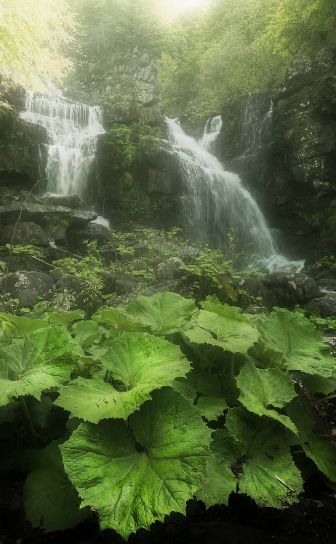 Spring waterfall