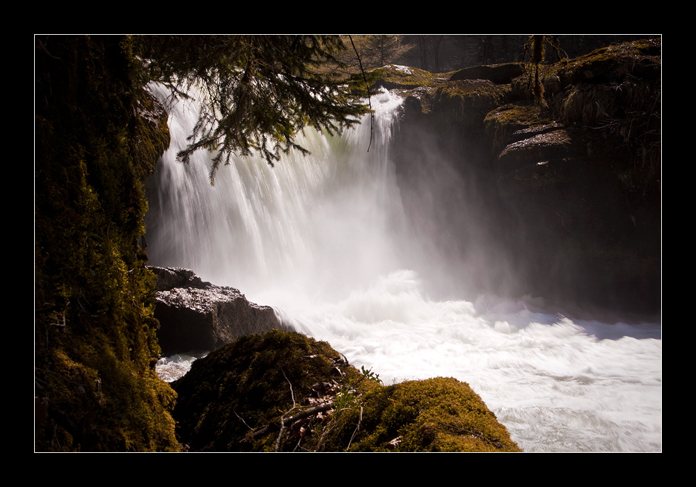 Spring Waters