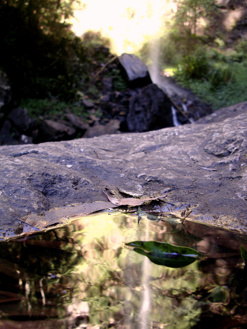 Springbrook National Park Australia