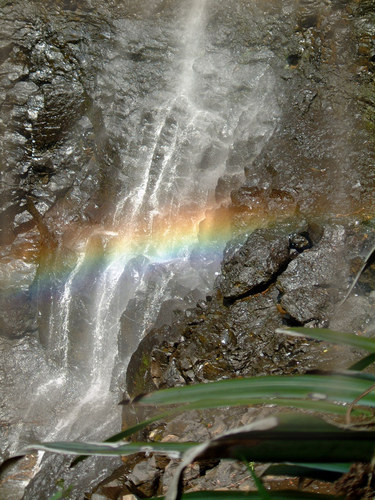 Springbrook/Australien