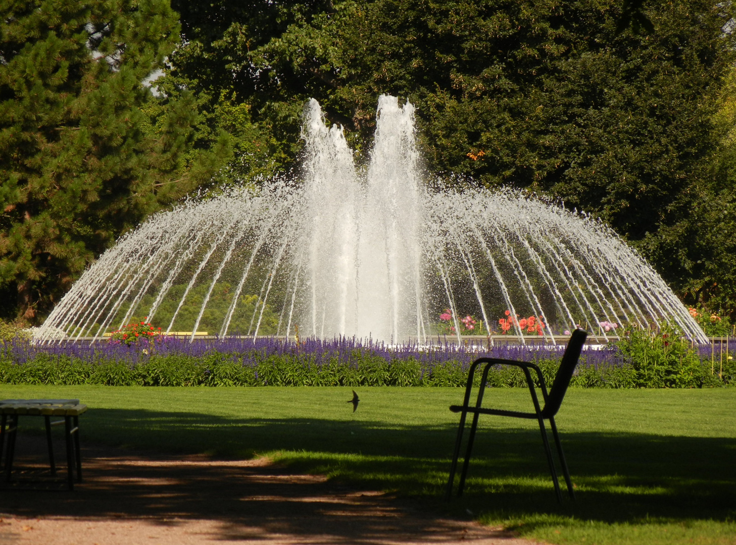 springbrunnen