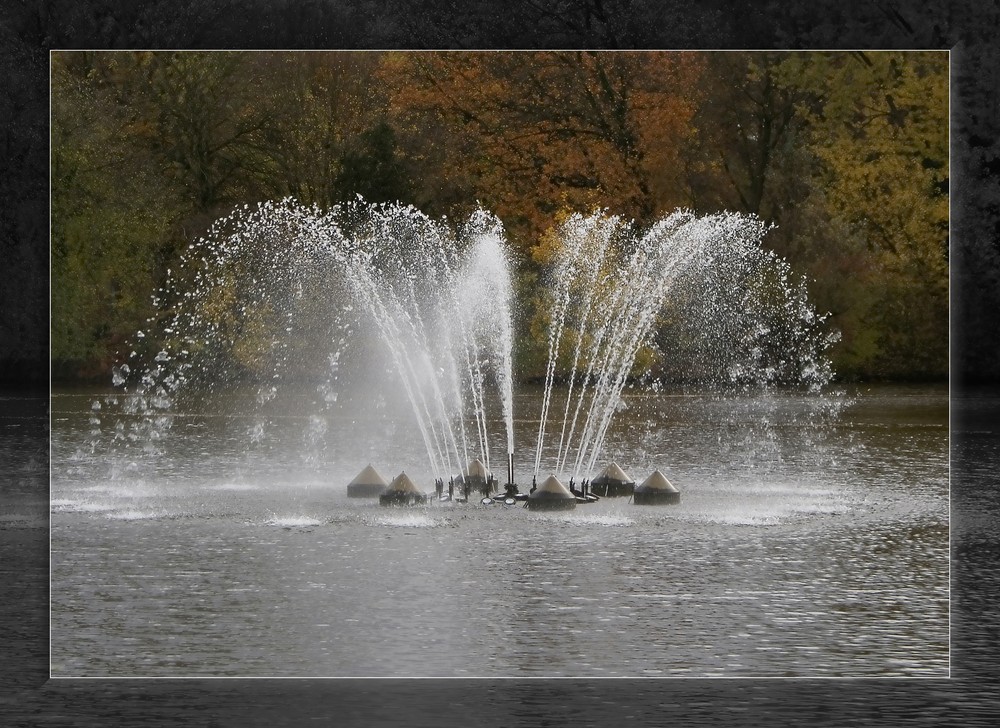 Springbrunnen