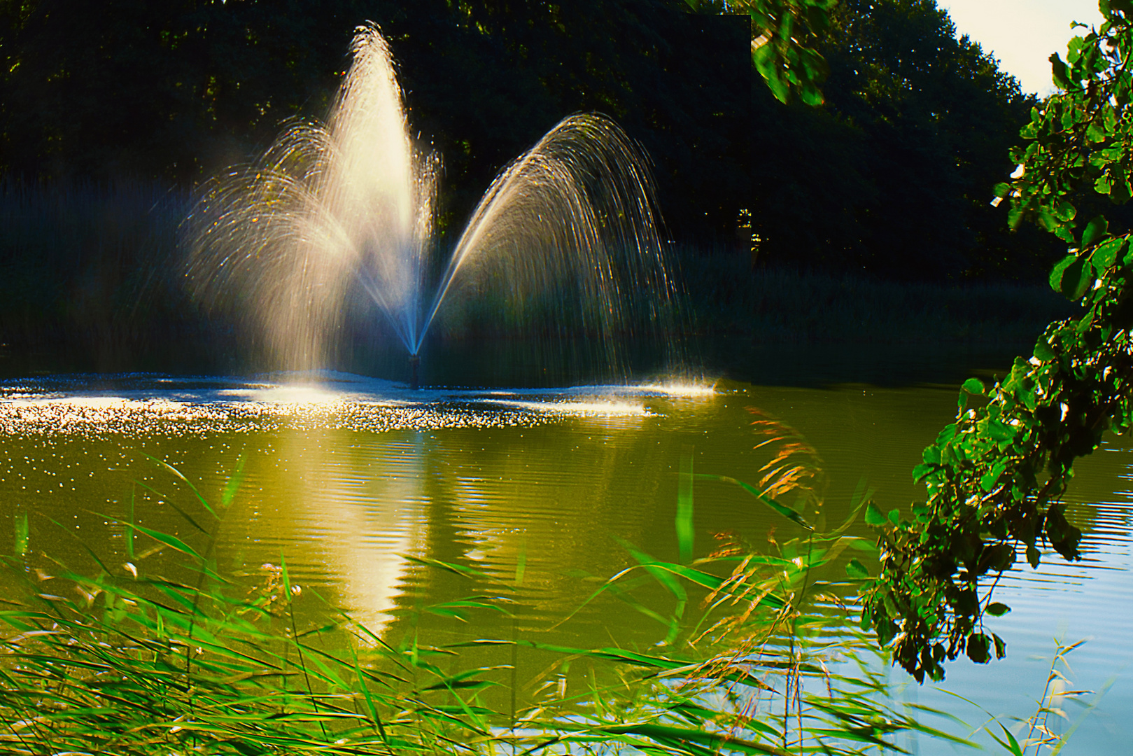 Springbrunnen 