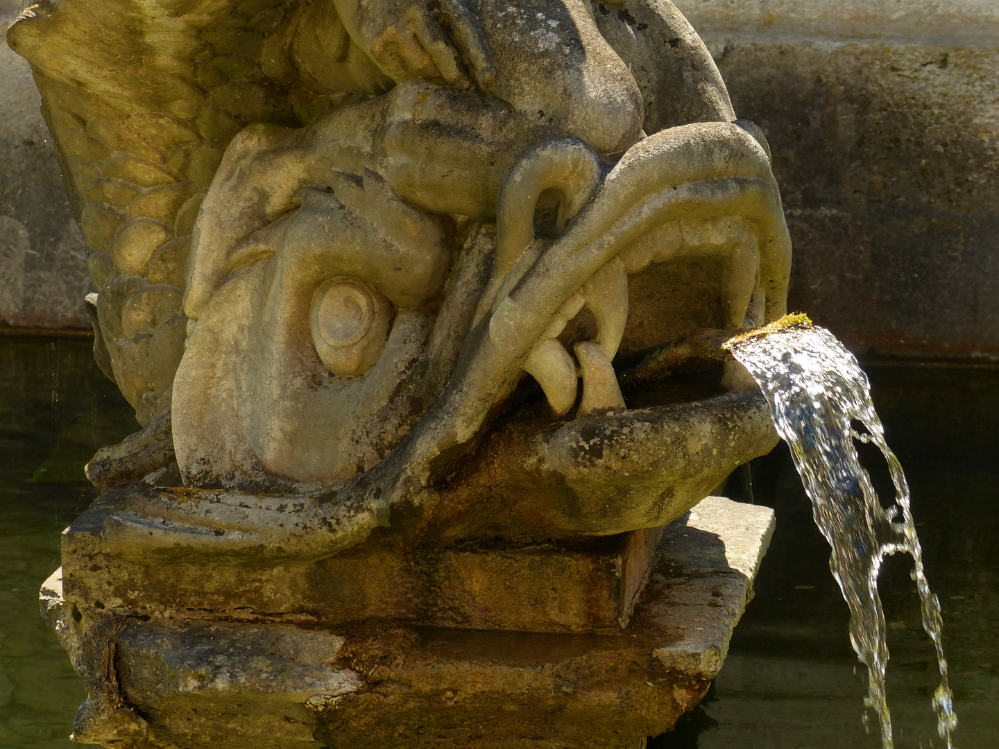 Springbrunnen des Fischkalters