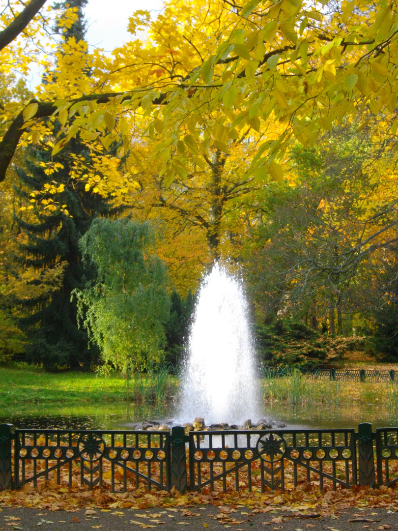 Springbrunnen im Herbst