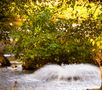 Springbrunnen im Kölner Zoo von Rheinmaus 