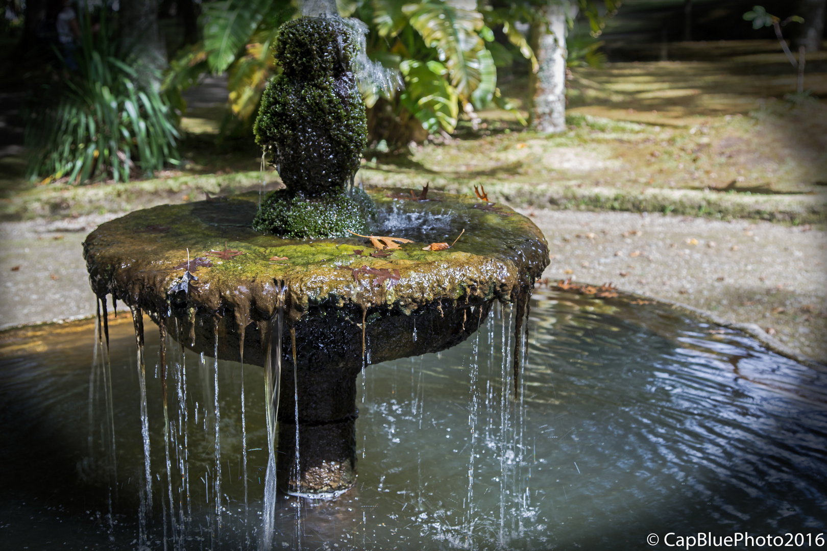 Springbrunnen im Parque Terra Nostra Furnas