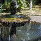 Springbrunnen im Parque Terra Nostra Furnas