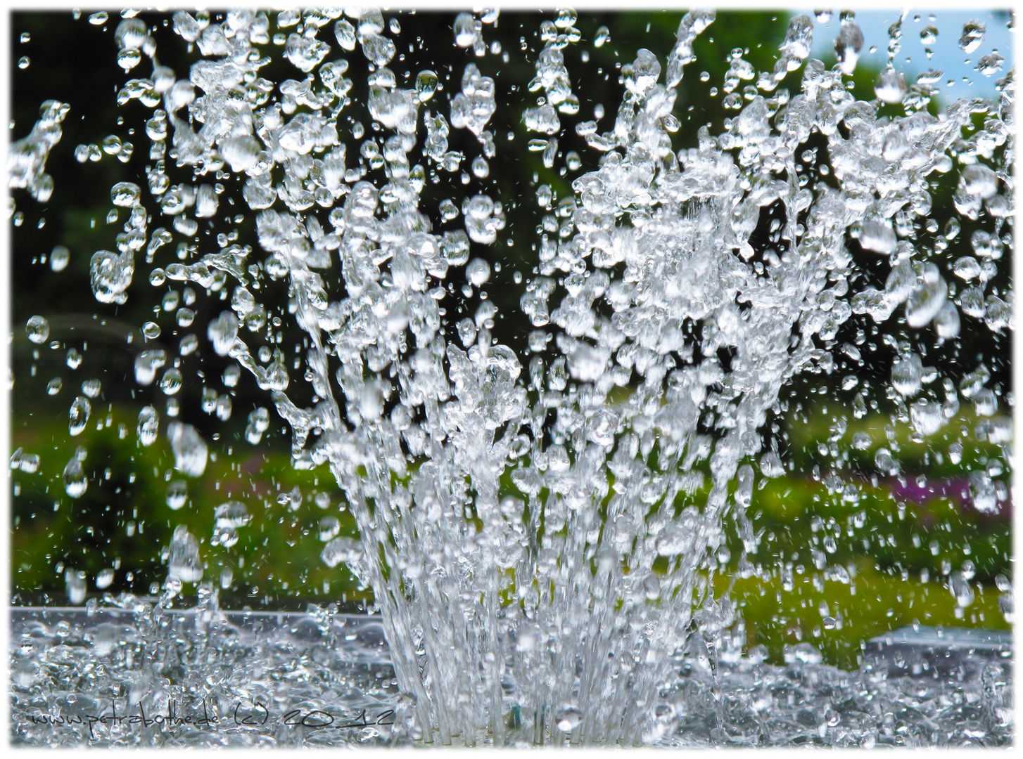 Springbrunnen im Rosengarten