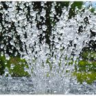 Springbrunnen im Rosengarten